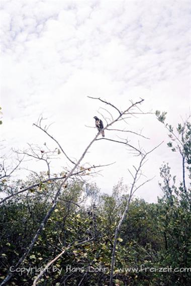 Die Strände auf Cayo Coco,_UW 06_22_B720